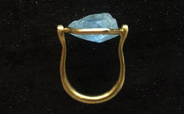 Turn over Ring Pams lab